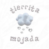 TierritaMojada logo