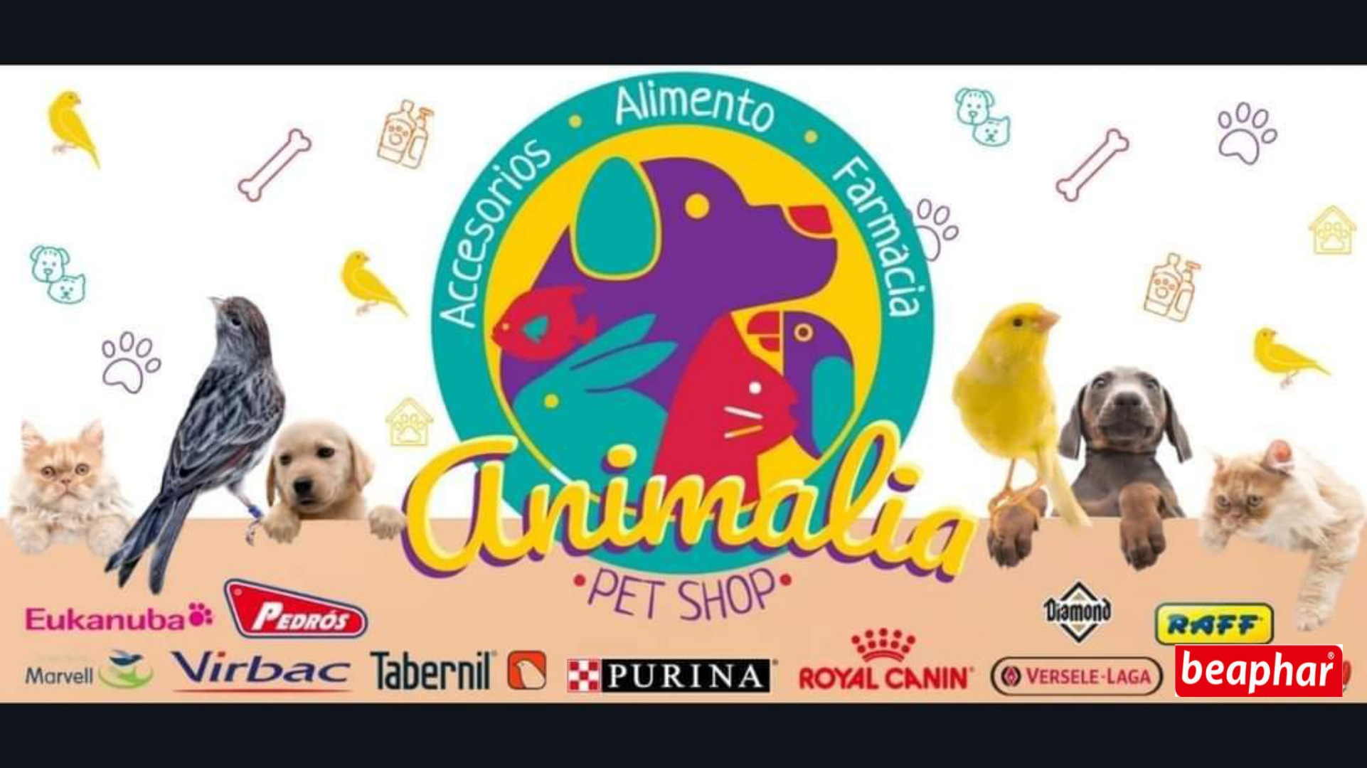 Store Logo
