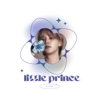 Littleprincestore logo