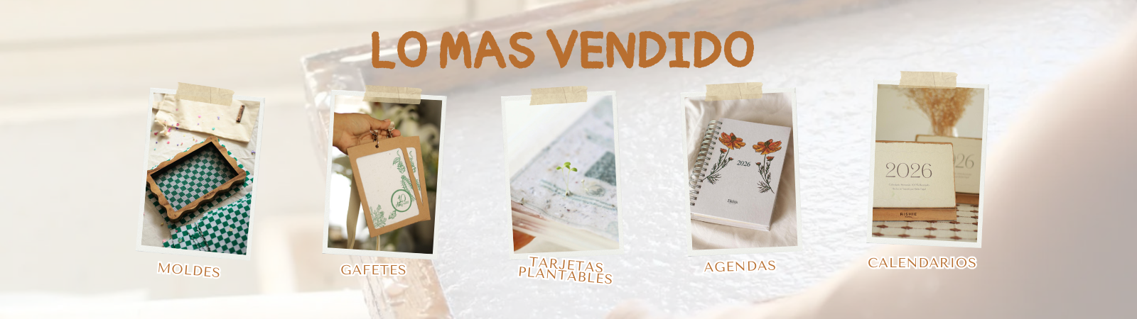 Foto 3 de la tienda rishiepapel