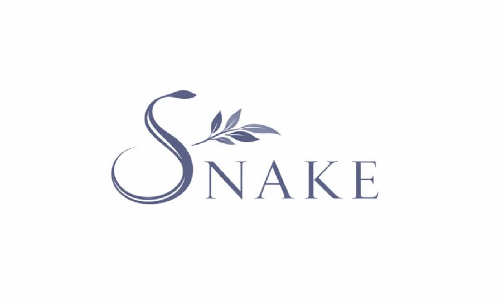 Foto 1 de la tienda snakeco