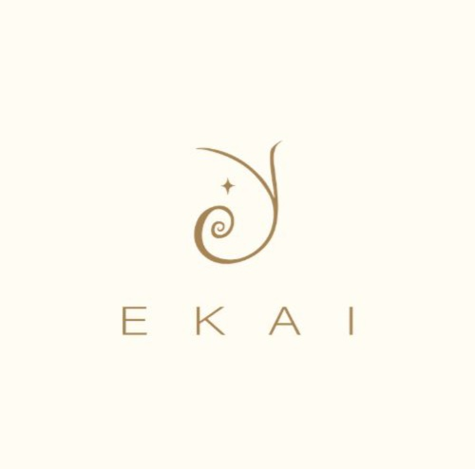 Foto 1 de la tienda Ekai