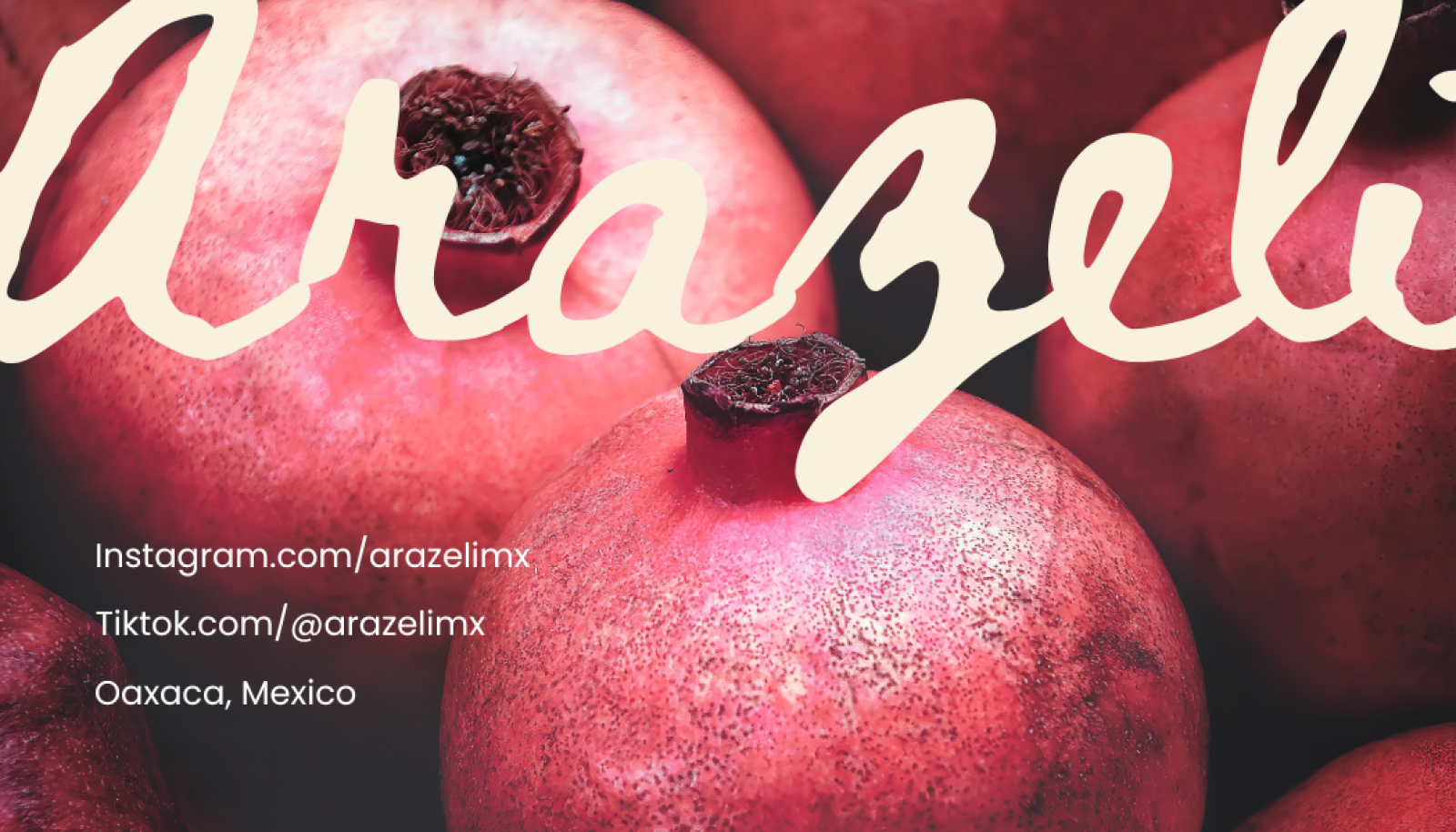 Foto 2 de la tienda ArazeliMX